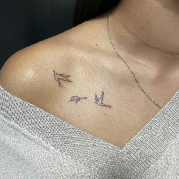 envol_oiseau_clavicule