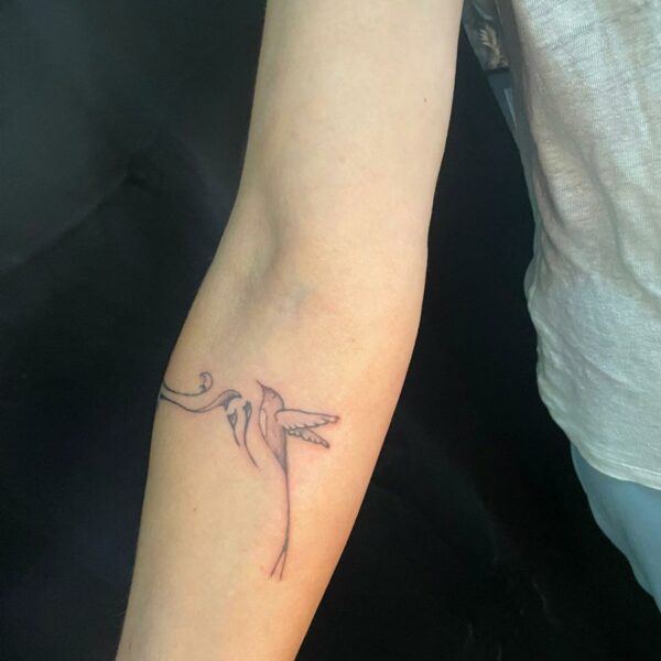 oiseau_printemps_colibri