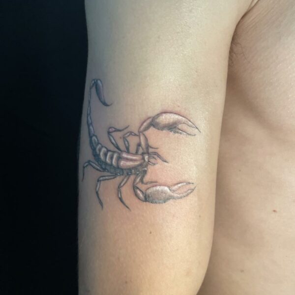 scorpion_signification_puissance_force_protection_signe_astro