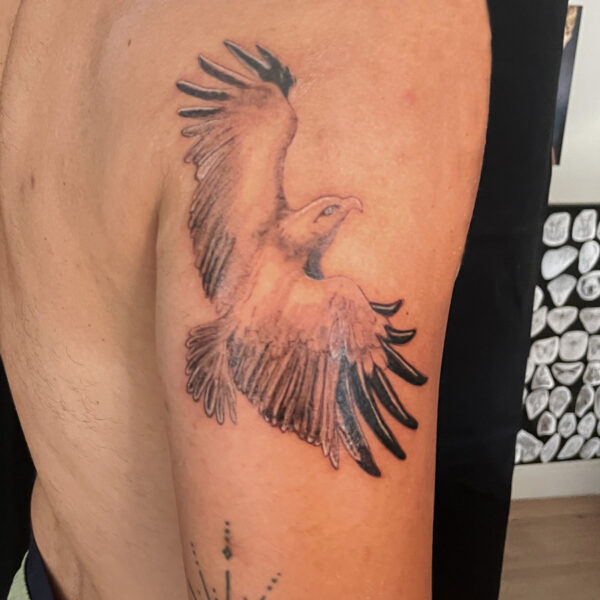 tatouage_rapace