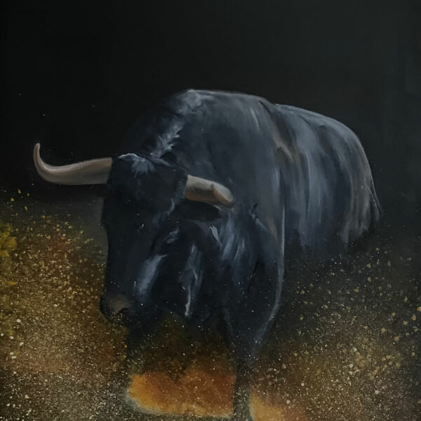 Série Toro "Toro de feu" huile sur toile dimensions 50 x 70